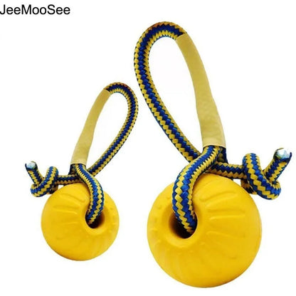 Interactive EVA Dog Fetch Ball