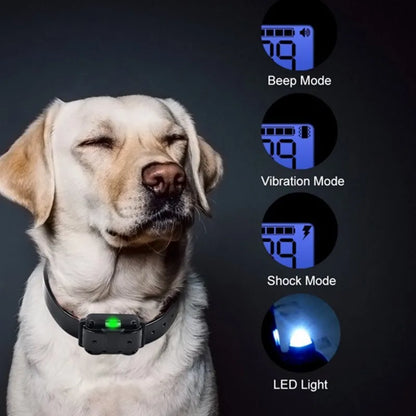 Waterproof Remote Dog Training Collar