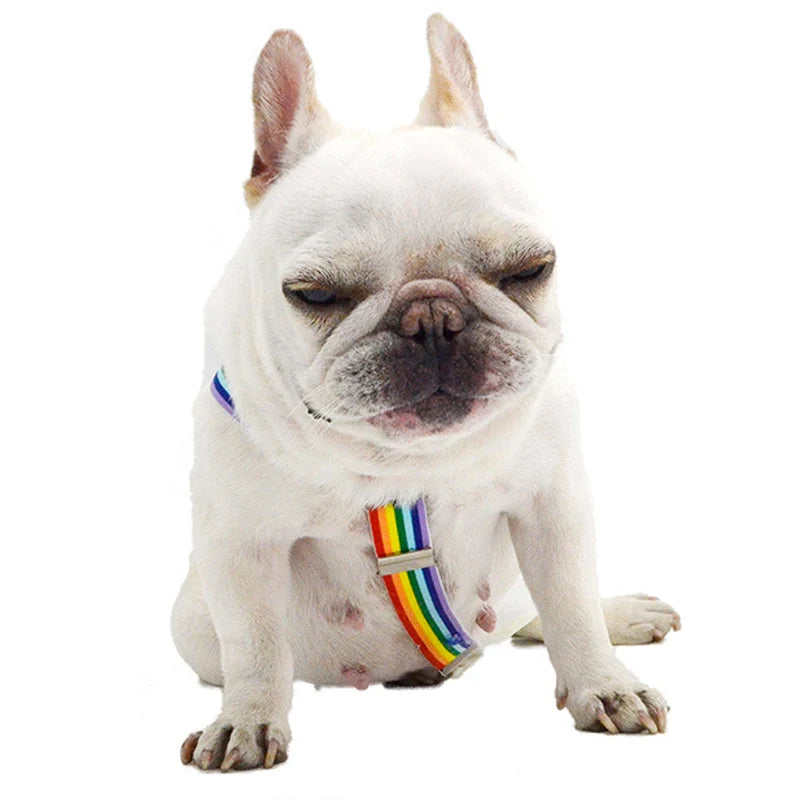 Rainbow Dog Diaper Suspenders with Adjustable Clips