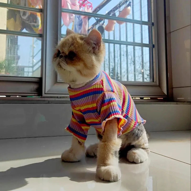 Striped Cotton Cat Vest – Spring Pet Clothes for Cats