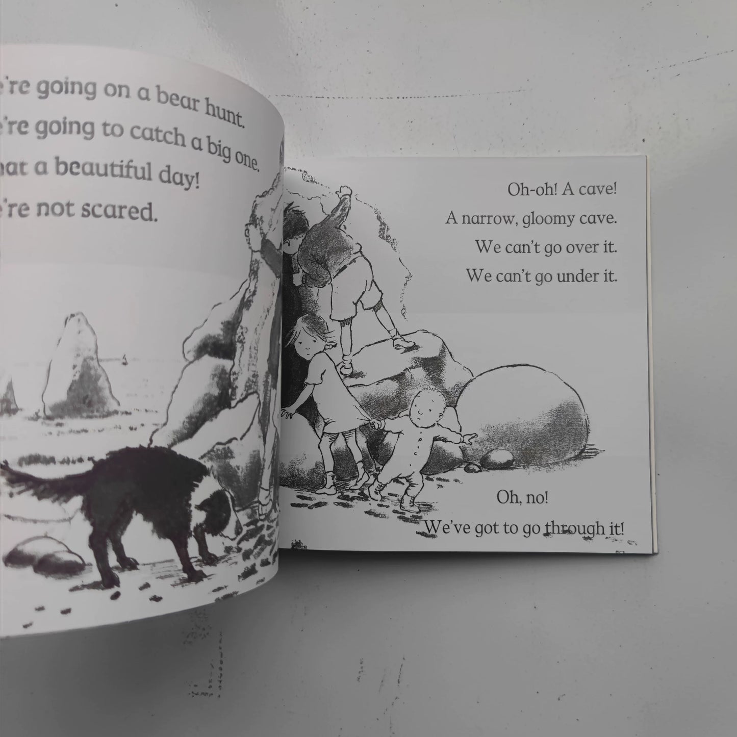 We're Going on a Bear Hunt Story Book