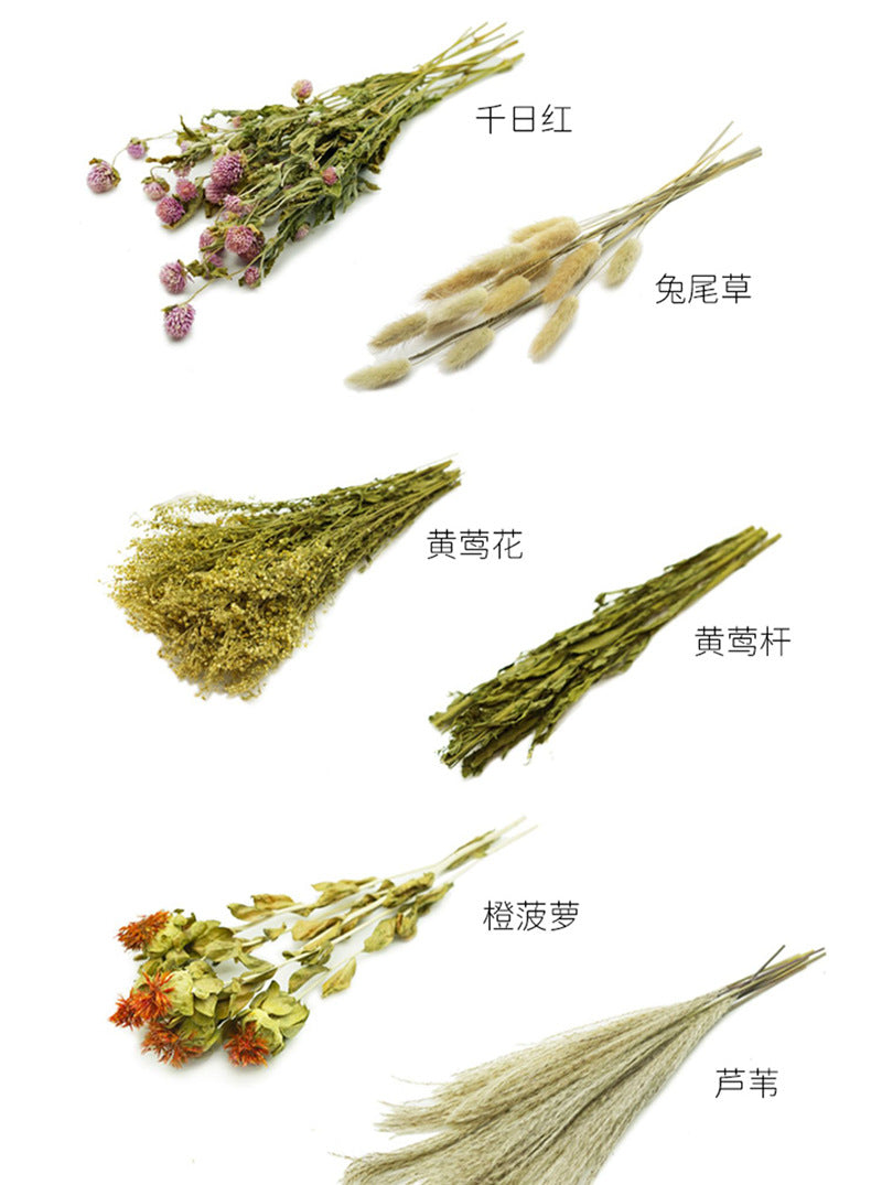 Natural Dried Flower Habitat Decor for Small Pets