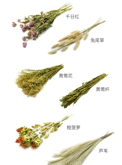 Natural Dried Flower Habitat Decor for Small Pets