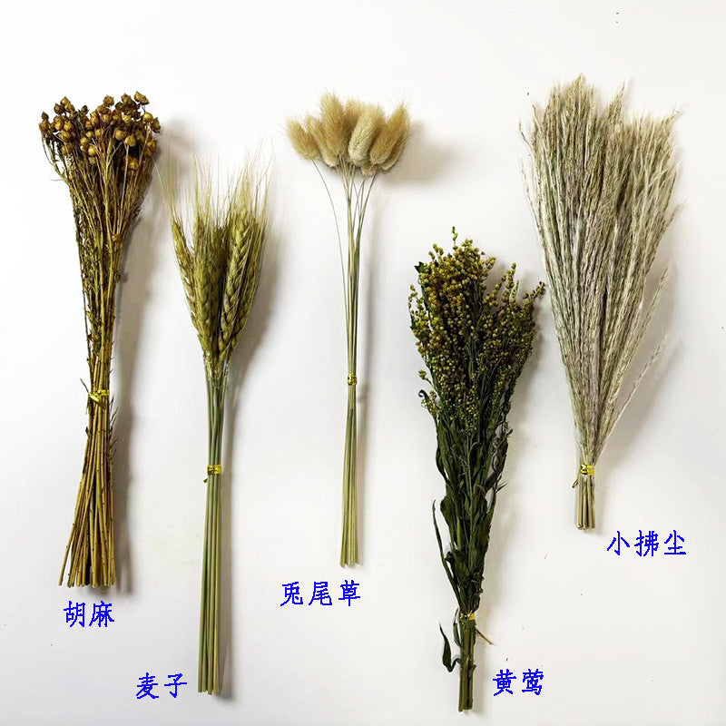Natural Dried Flower Habitat Decor for Small Pets