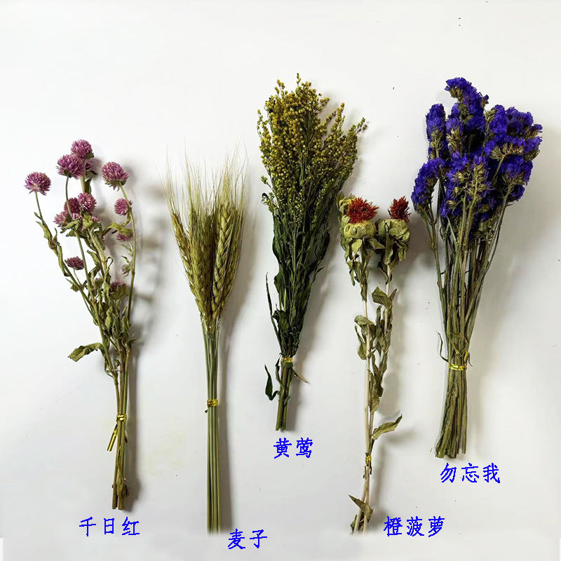 Natural Dried Flower Habitat Decor for Small Pets