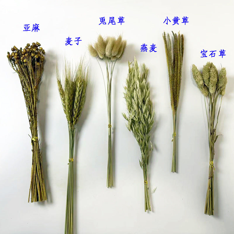 Natural Dried Flower Habitat Decor for Small Pets