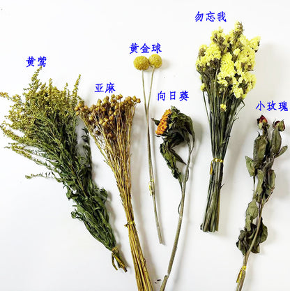 Natural Dried Flower Habitat Decor for Small Pets