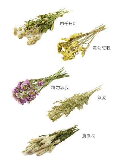 Natural Dried Flower Habitat Decor for Small Pets