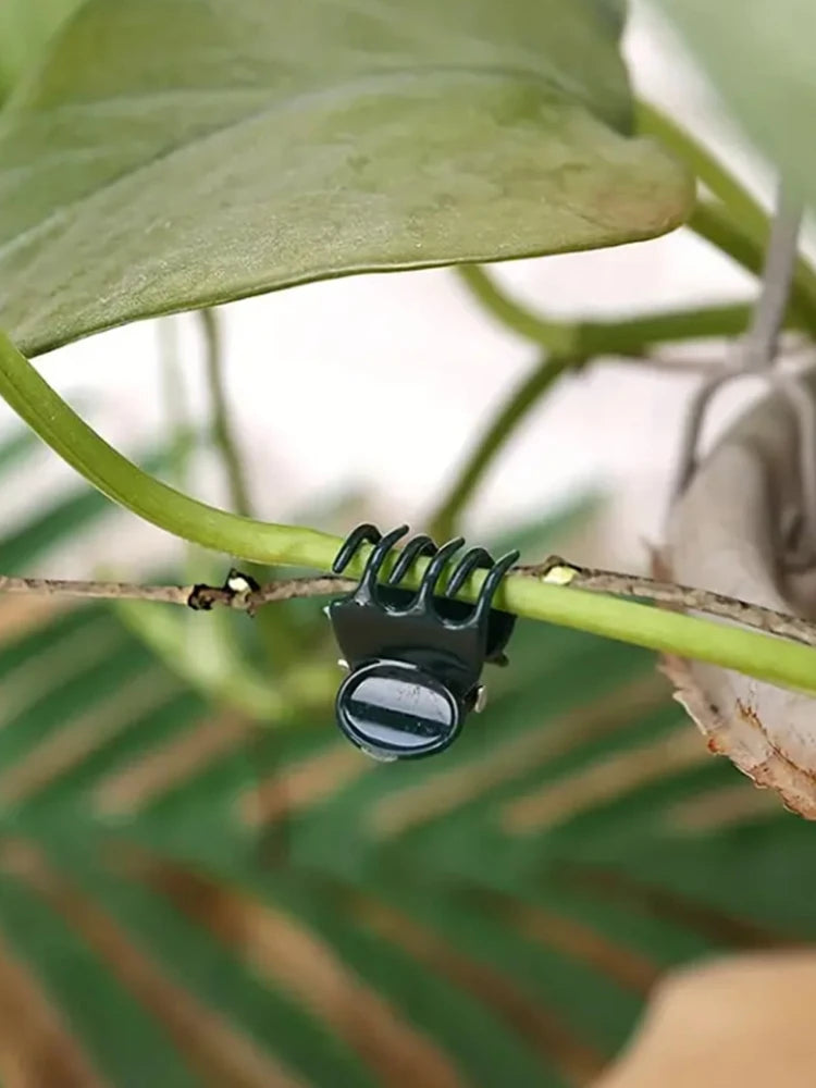 Plant Support Clips for Orchids & Vines