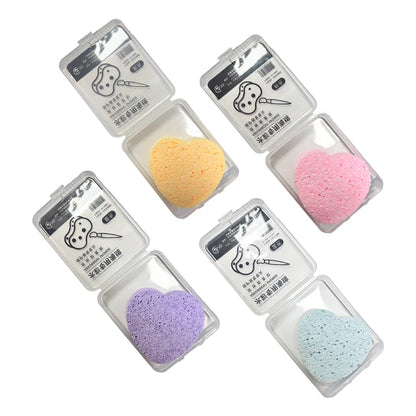 Watercolor Painting Sponge Set