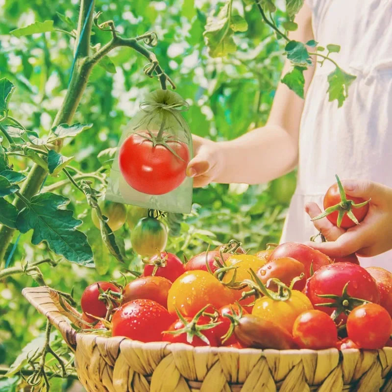 Fruit Protection Grow Bags