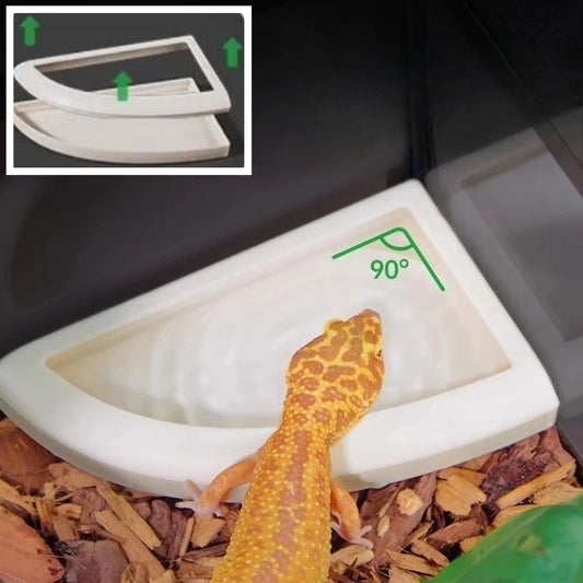 Anti-Escape Reptile Feeding Bowl