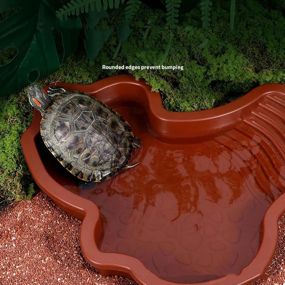 Reptile Bathing Pool with Ramp