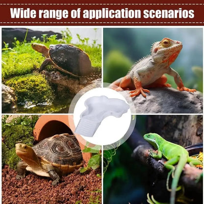 Reptile Bathing Pool with Ramp