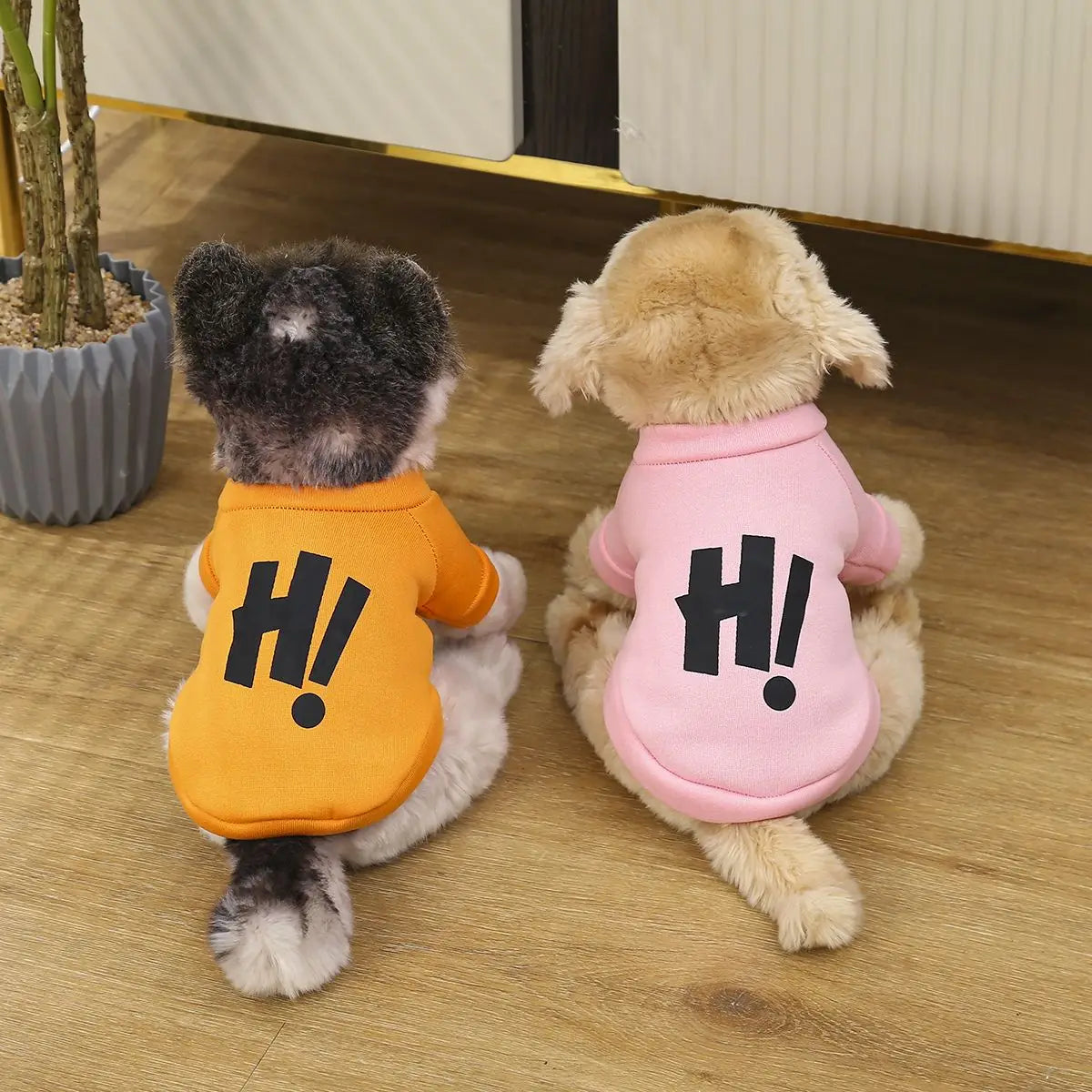 Cartoon Letter Dog Sweater – Warm Pet Shirt for Autumn & Winter