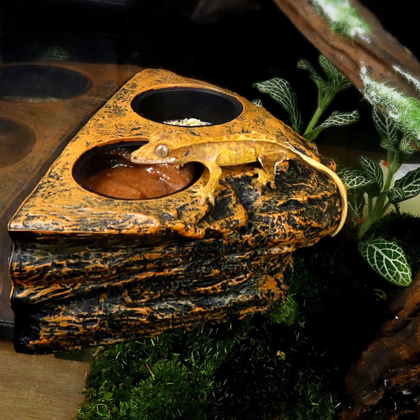 Magnetic Reptile Feeder Bowl for Terrarium Pets