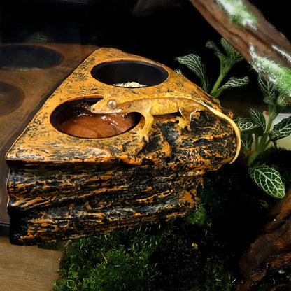 Magnetic Reptile Feeder Bowl for Terrarium Pets
