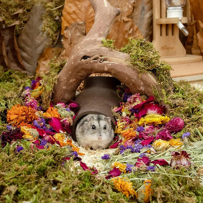 Natural Dried Flower Habitat Decor for Small Pets