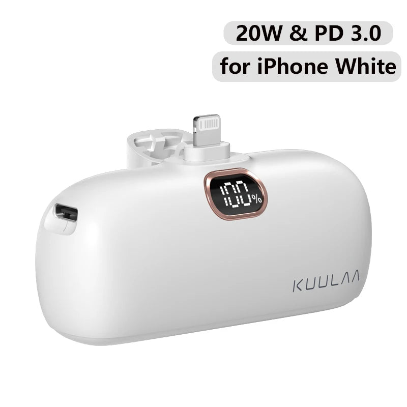 20W Fast Charging Portable Power Bank