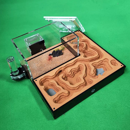 Large Acrylic Ant Farm with Gypsum Nest & Observation Arena