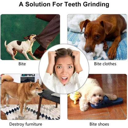 Interactive Treat Dispensing Dog Ball