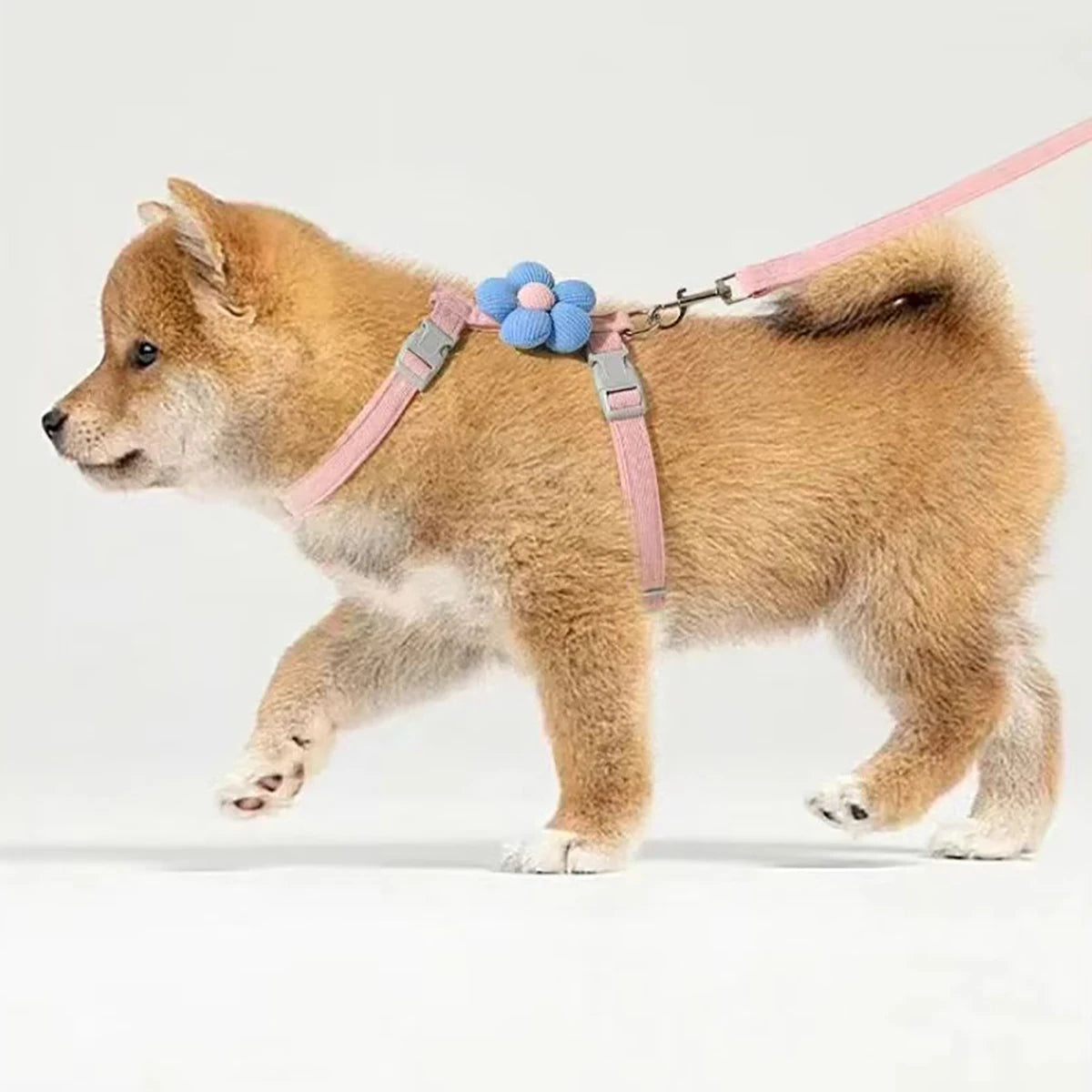 Breathable Adjustable Dog & Cat Harness with Leash Set