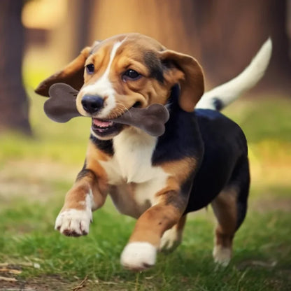 Natural Dog Bone Chew Toy