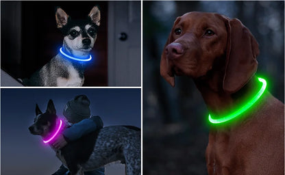 USB Rechargeable LED Dog Collar
