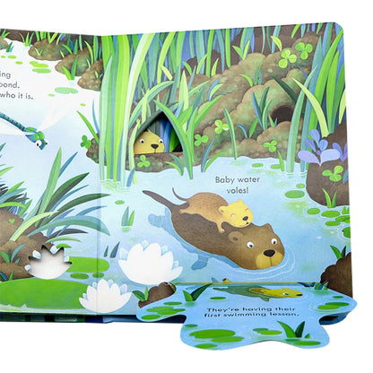 Usborne Peep Inside the Pond – Lift-the-Flap Book