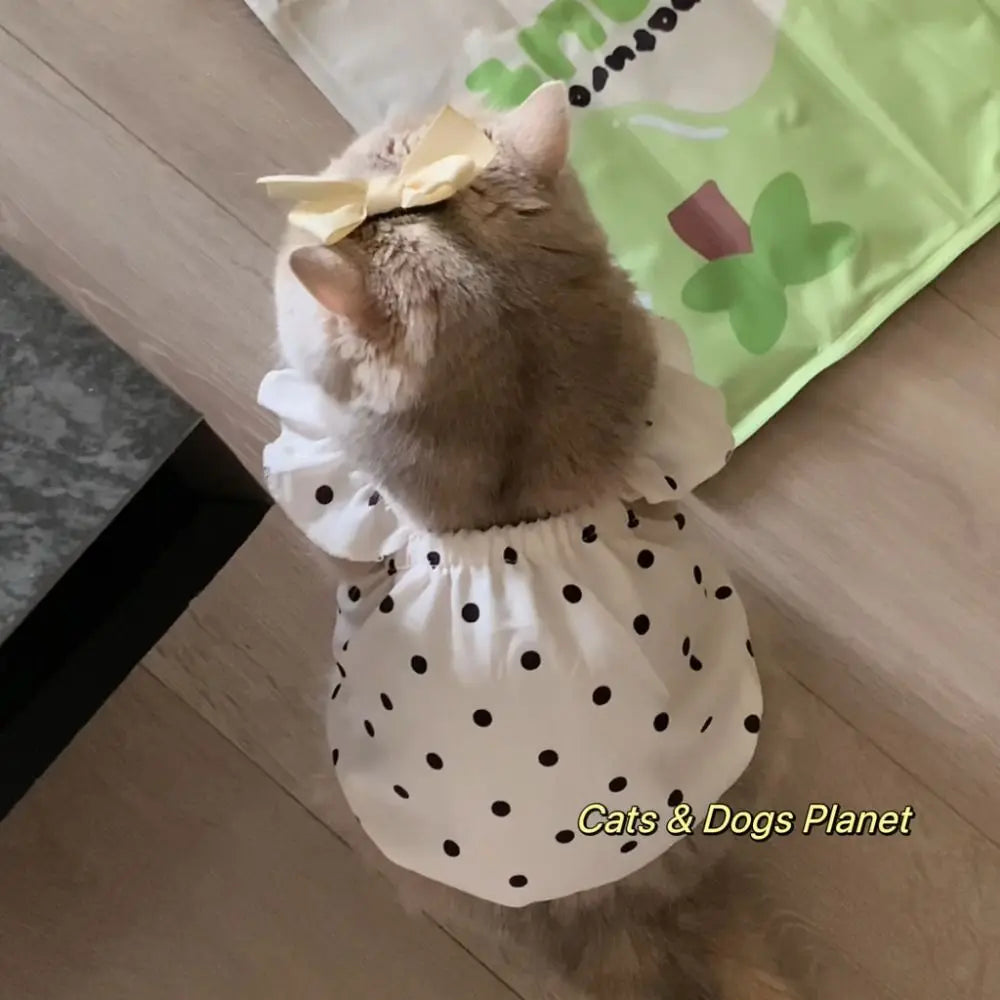 Polka Dot Princess Pet Dress for Cats & Small Dogs