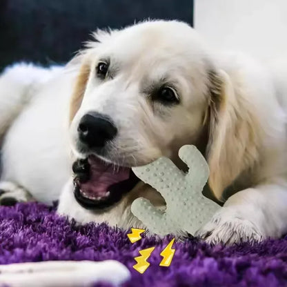 Cactus Dog Chew Toy for Aggressive Chewers
