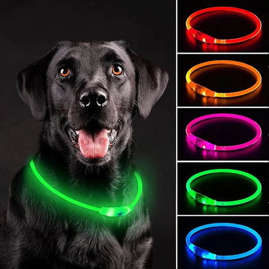 USB Rechargeable LED Dog Collar