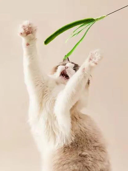 Feather Wand Cat Teaser Toy