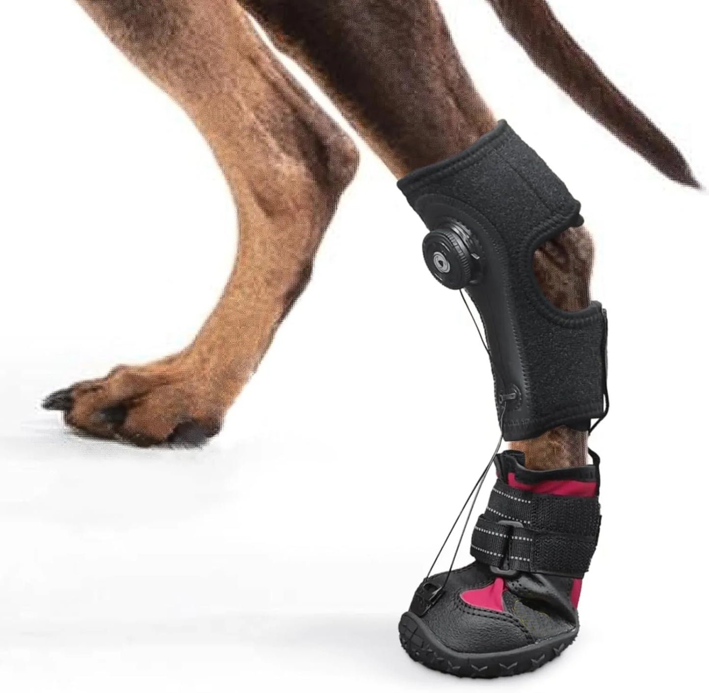 Anti-Slip Dog Shoes
