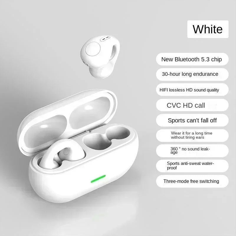T75 Wireless Bluetooth Sports Earbuds with Charging Case