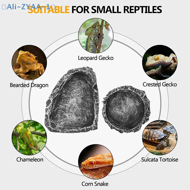 Natural Rock Reptile Feeding & Water Bowl