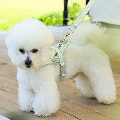Colorful No-Pull Adjustable Dog Harness