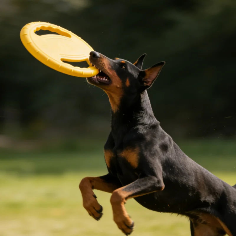 EVA Dog Flying Disc Fetch Toy