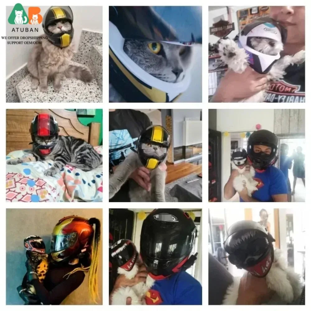 Full Face Decorative Helmet for Small Dogs & Cats