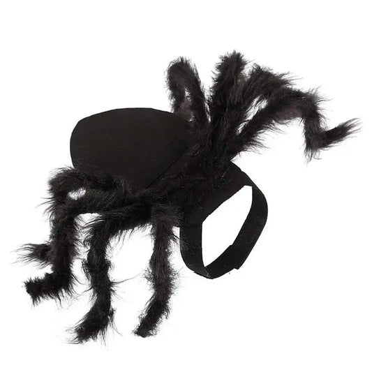 Spider Costume for Cats & Dogs