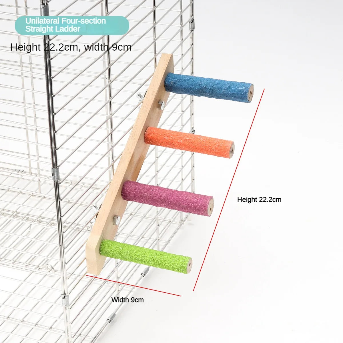 Bird Climbing Ladder