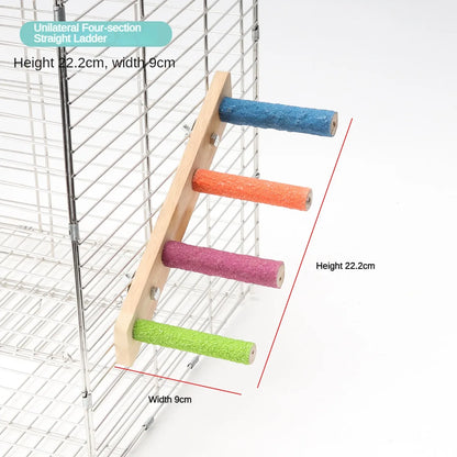 Bird Climbing Ladder