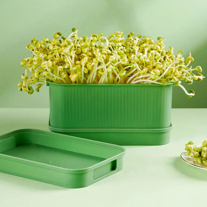Stackable Seed Sprouting Tray with Lid