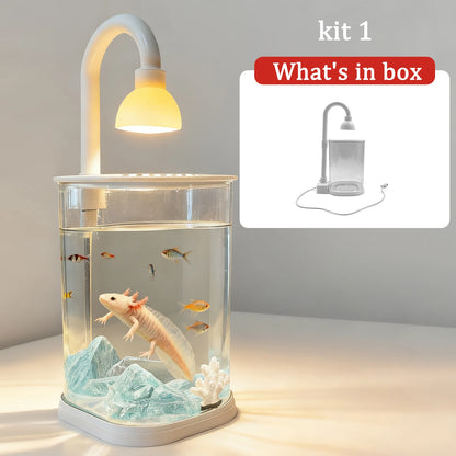 Mini Starter Fish Tank Kit with Light