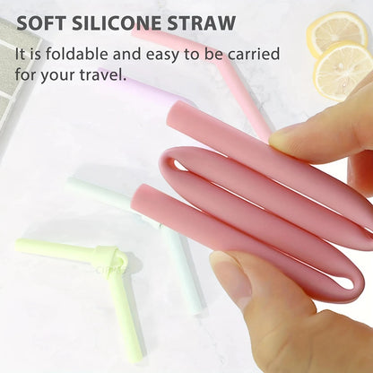 Silicone Replacement Straws with Brush