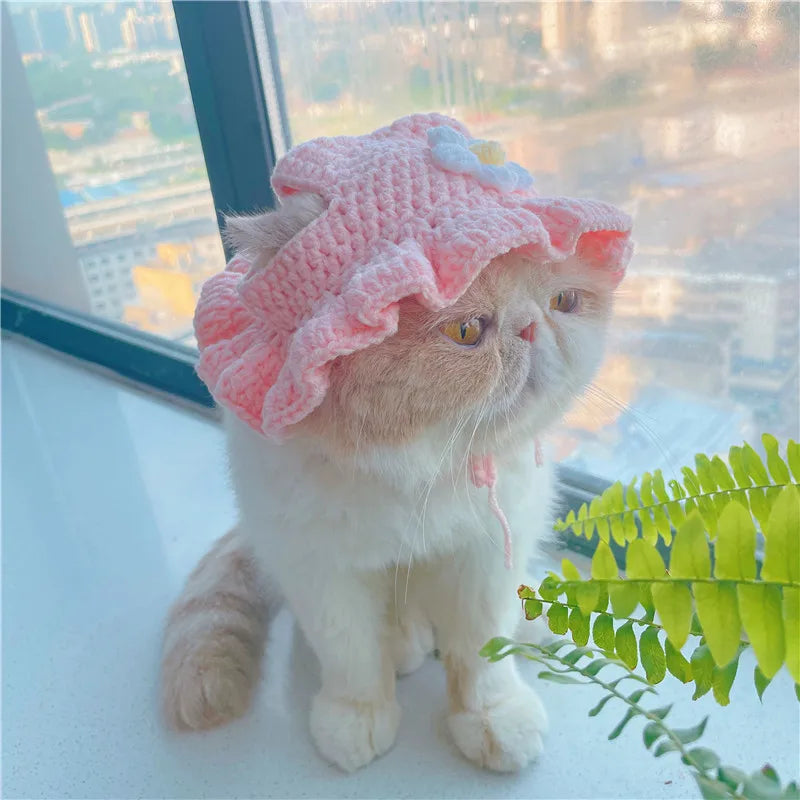 Cute Knitted Pet Hat for Cats & Small Dogs