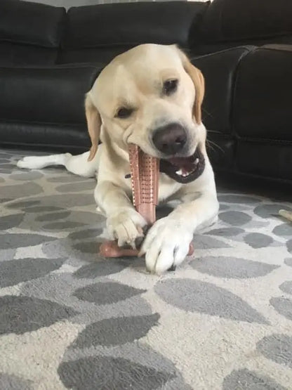 Durable Dog Dental Chew Toy
