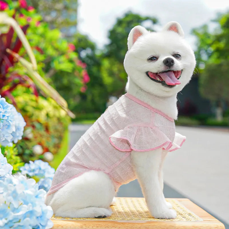 Dog Cooling Vest