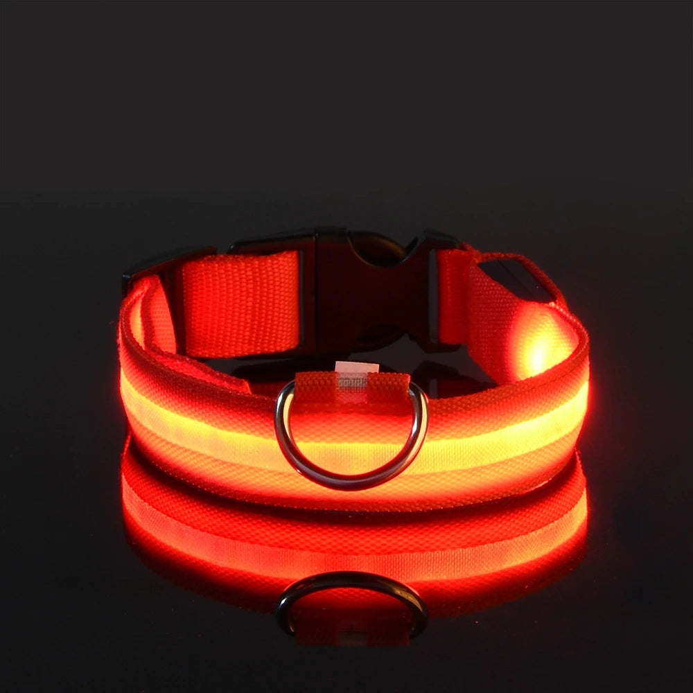 LED Flashing Dog Collar
