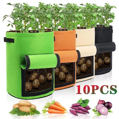 Plant Grow Bags with Harvest Window